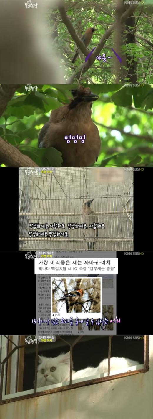 기사 이미지