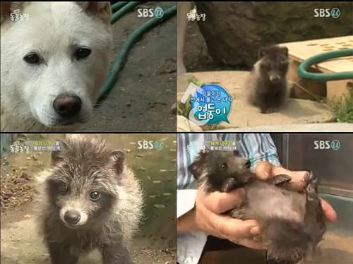 기사 이미지