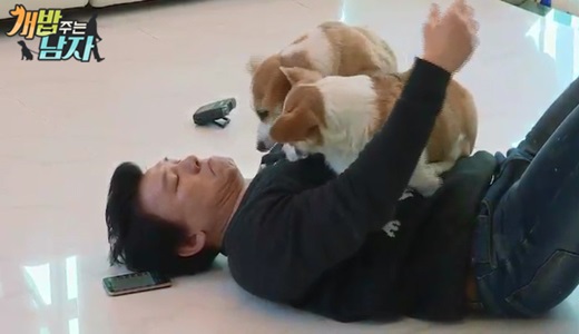 기사 이미지