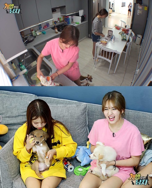 기사 이미지