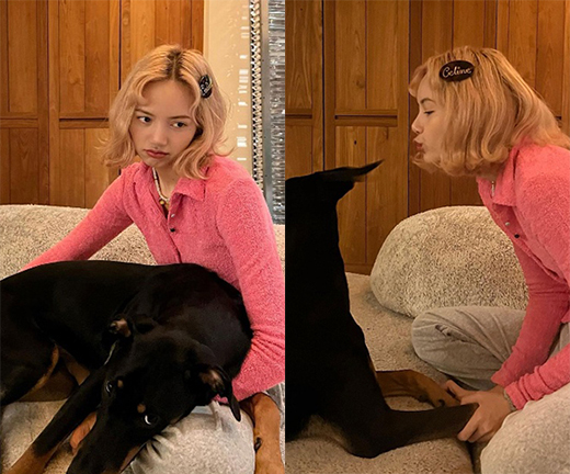 기사 이미지