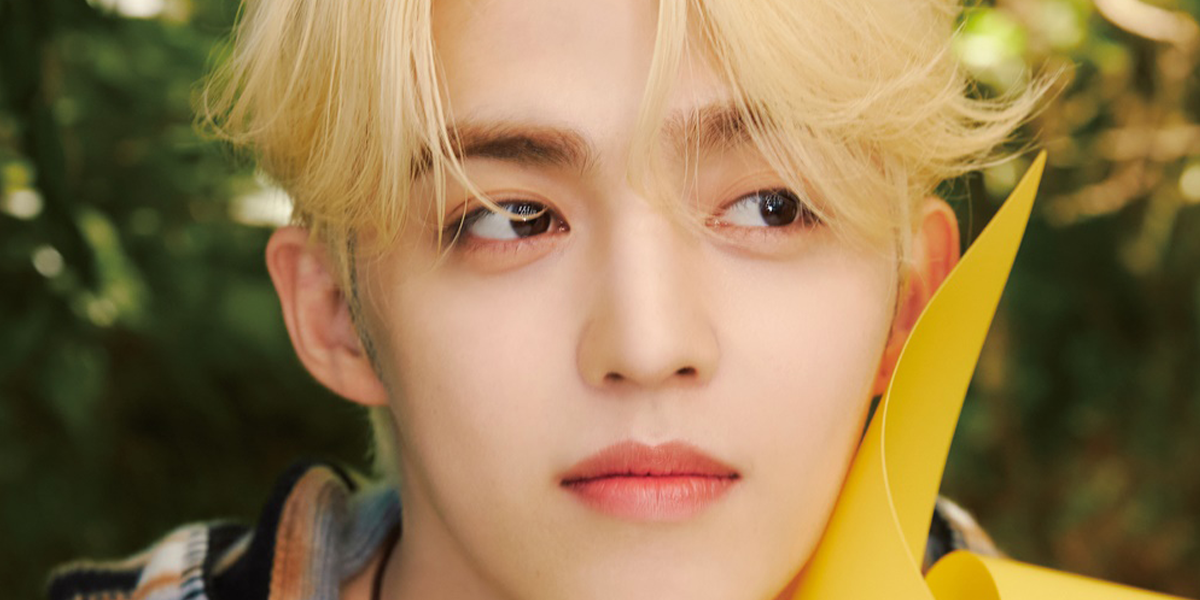 <b>세븐틴 에스쿱스</b>, <b>유기동물</b> 위해 5000만 원 기부
