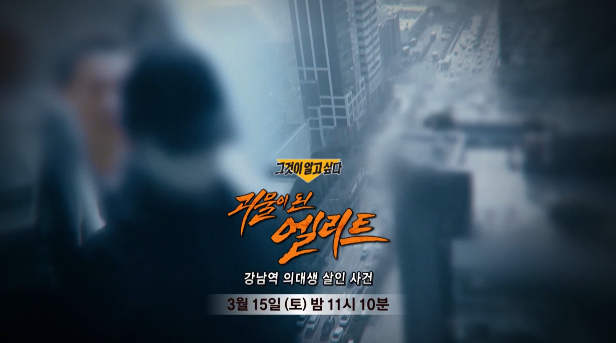 <b>그것이알고싶다</b> - 강남역 살인사건