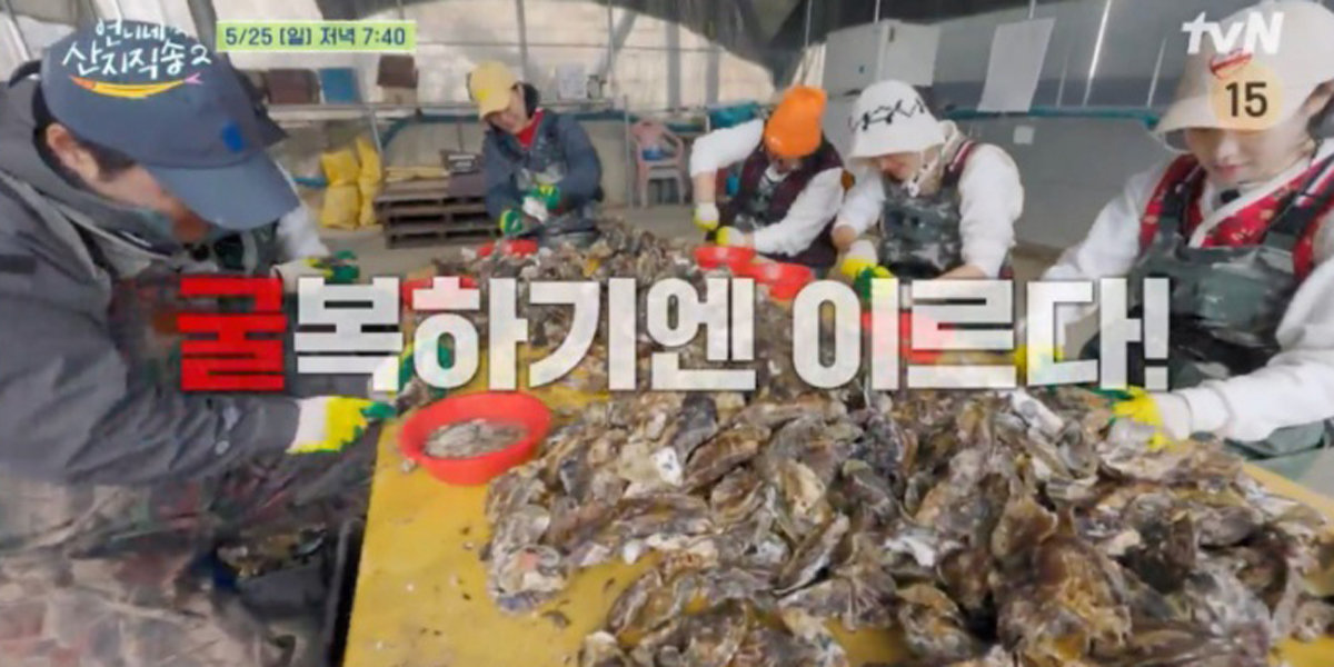 ‘<b>산지직송2</b>’ 사 남매 900kg 굴 조업 시작