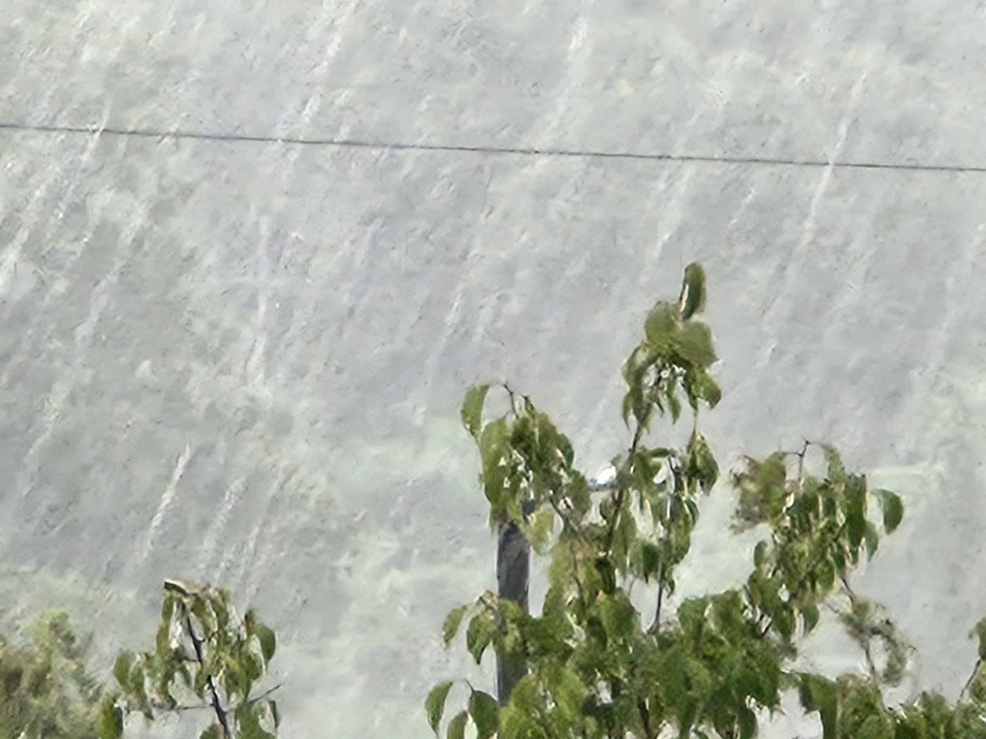 国民の突風と雷雨…ソウルの1時間あたり50mm大雨 [내일날씨]