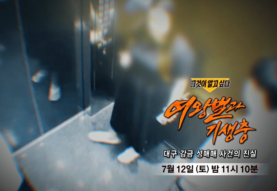 '그것이알고싶다' 대구 감금 성매매 사건(그알) | bnt뉴스