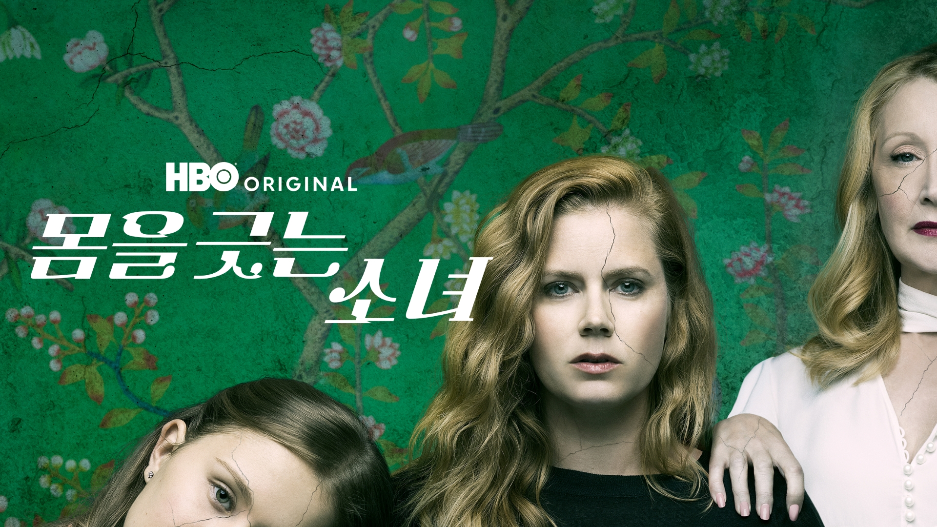 쿠팡플레이 공포 스릴러 추천 5 | bnt뉴스