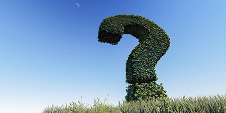 [단독] 캐시워크 돈버는퀴즈 정답 12월 26일 - 뉴스 썸네일 이미지