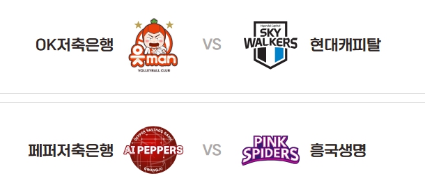 V 리그 프로배구 경기 일정, 생중계 안내 - 뉴스 썸네일 이미지