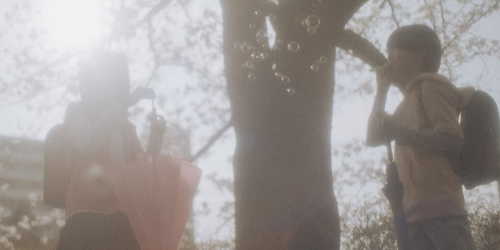 '초속 5센티미터' 원작 감동 담은 '너와 나의 속도' 스틸 공개 - 뉴스 썸네일 이미지