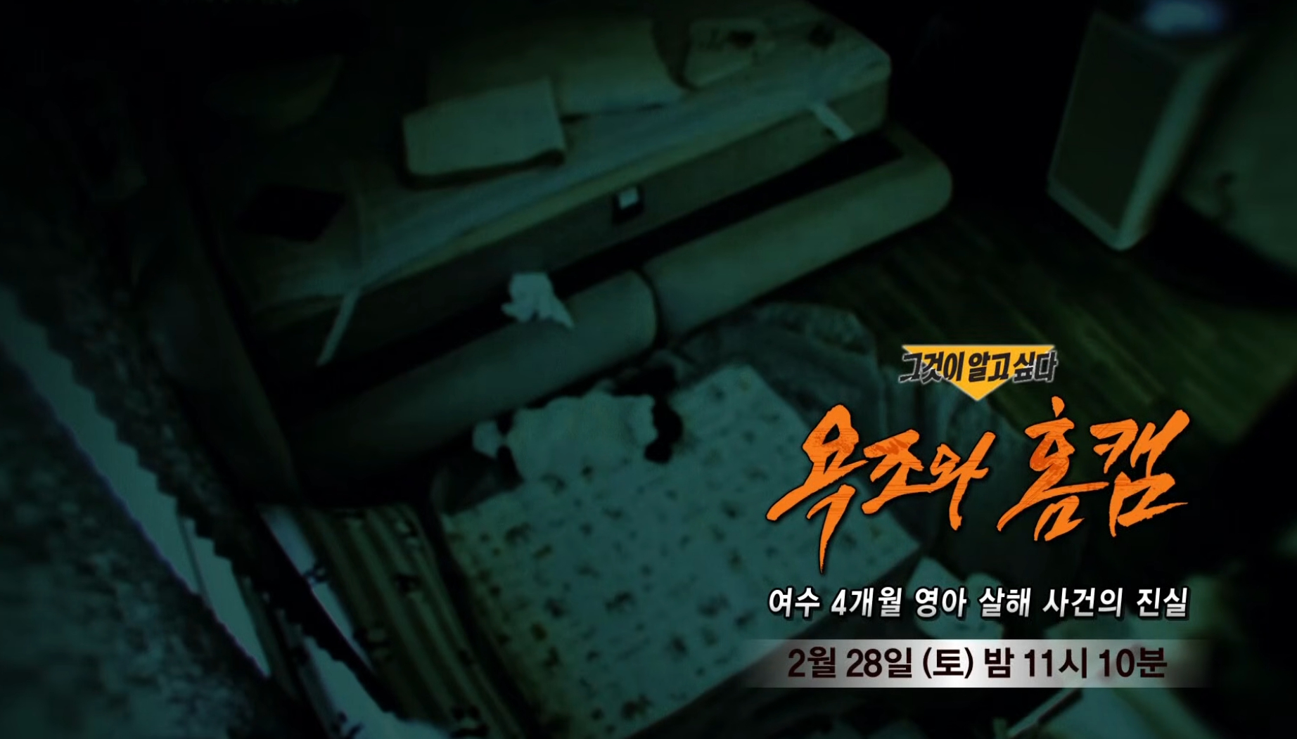 bnt뉴스 관련 기사 이미지