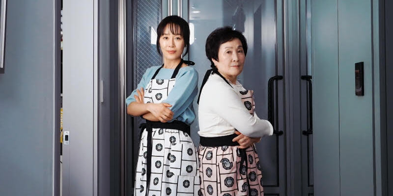 문정희 문어곰탕 레시피 관련 보도 이미지