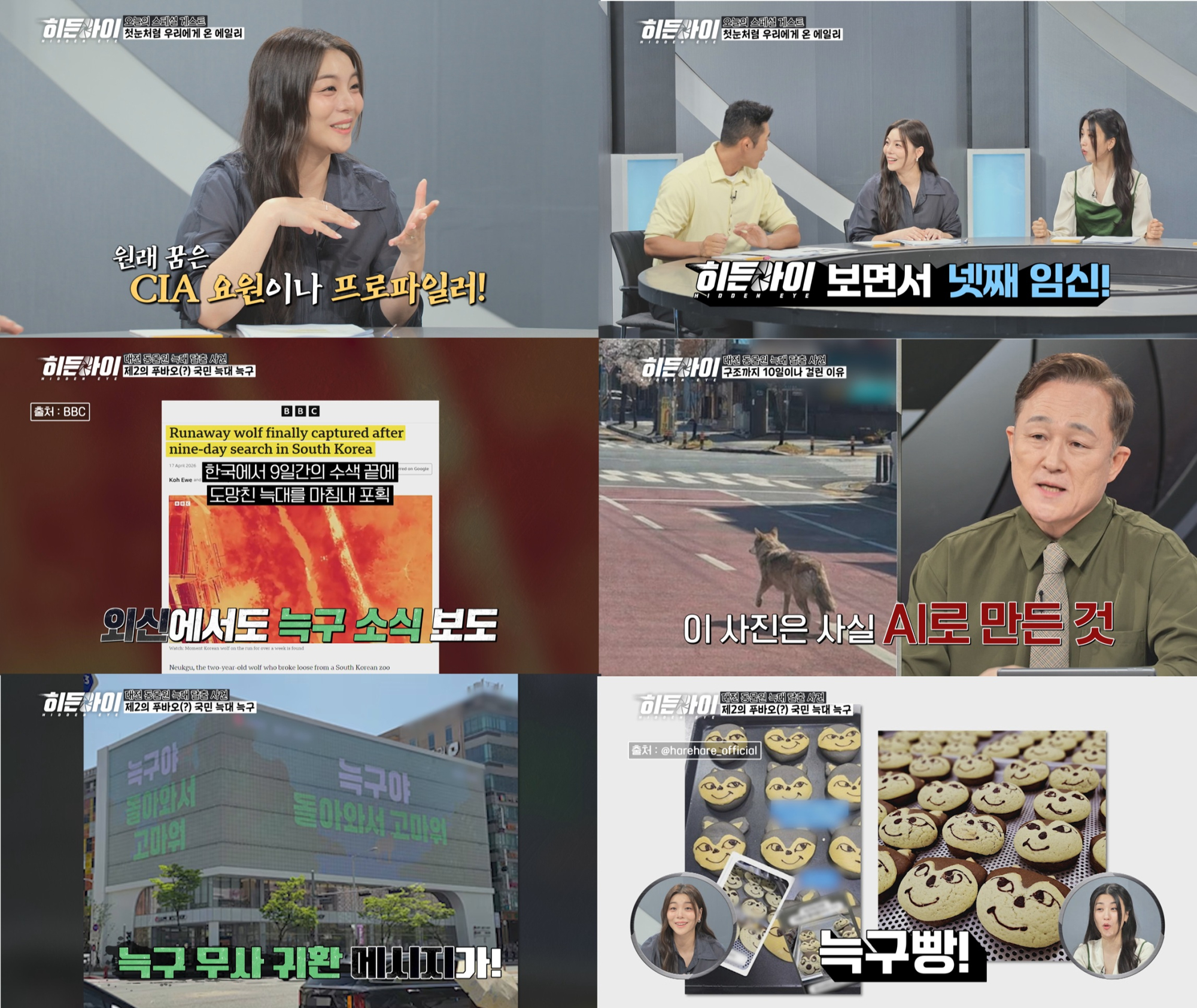 ‘<b>히든아이</b>’ 늑구 탈출 현장