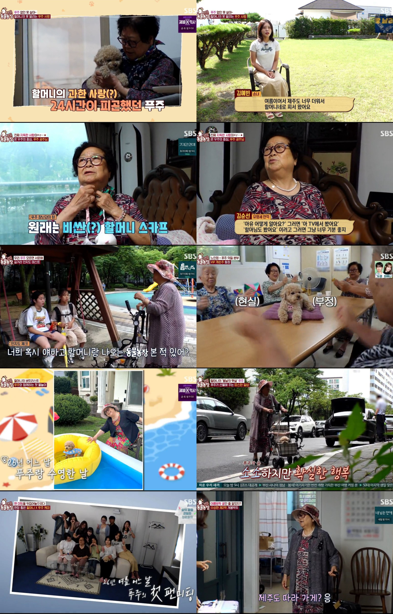 ‘TV <b>동물농장</b>’ 90세 할머니와 푸주