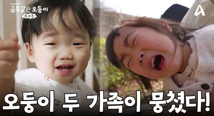 채널A 프라임 다큐 '금쪽같은 <b>오둥이</b> 5+5' 인천·동두천 <b>오둥이</b>