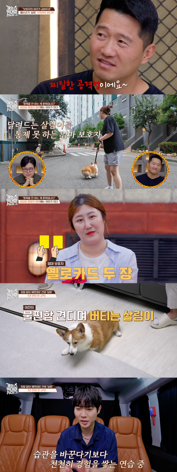 ‘<b>개와 늑대의 시간</b>2’ 5명 문 반려견의 반전
